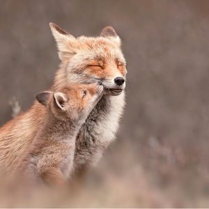 Meet your Posher, Toby